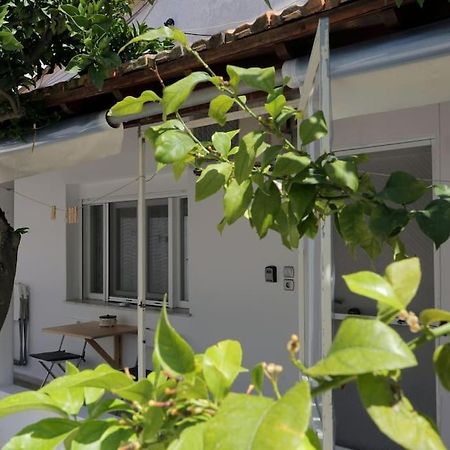 Stamatis Apartment Agios Georgios  Buitenkant foto